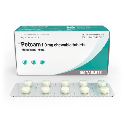 Petcam Injection Transpharm
